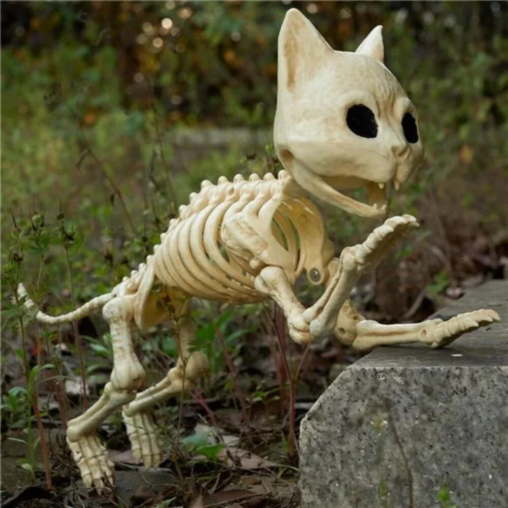 Cat Skeleton Halloween Decorations 8 Inch Plastic Animal Skeletons with